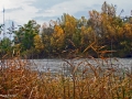 n-50-Fiume-Autunno