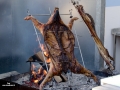 Argentino Carne.jpg