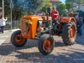 DSCF2981-copia